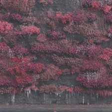 Audio Cd - Sleep Token - Even In Arcadia  - Rca -D- Neu