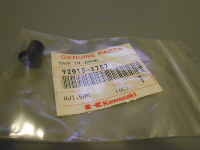 NOS Kawasaki Nut 5mm ZX600 ZX750 VN800 ZX1000 ZX1100 ZX900 ZG1000