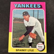 1975 Topps BaseballCard #485 Sparky Lyle New York Yankees Nm+ Free Shipping!
