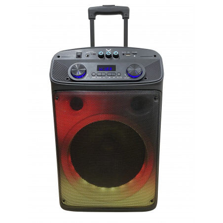 Majestic Flame T55 Party Speaker a Trolley Wireless con Microfono