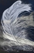 new  handmade  Painting on Fine Art Canvas White Feather by Wendy