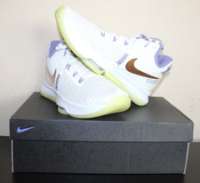 Nike LeBron Witness 5 Summit White Metallic Bronze 2021 CQ9380-102 Sz 11 Mens