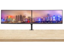 Asus VP299CL 29-inch UW-UXGA IPS LCD Monitor, 2-Pack Bundle