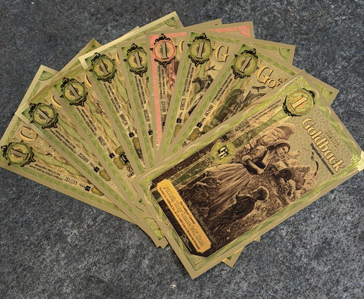 Complete Set! Lot ALL 9 STATES Goldback 24KT Gold Foil Notes 1