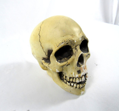 randotti ビンテージ　スカル　置物　ディズニー　髑髏　骸骨　義眼 The Randotti Skull: A Staple of Disneyland Souvenirs for