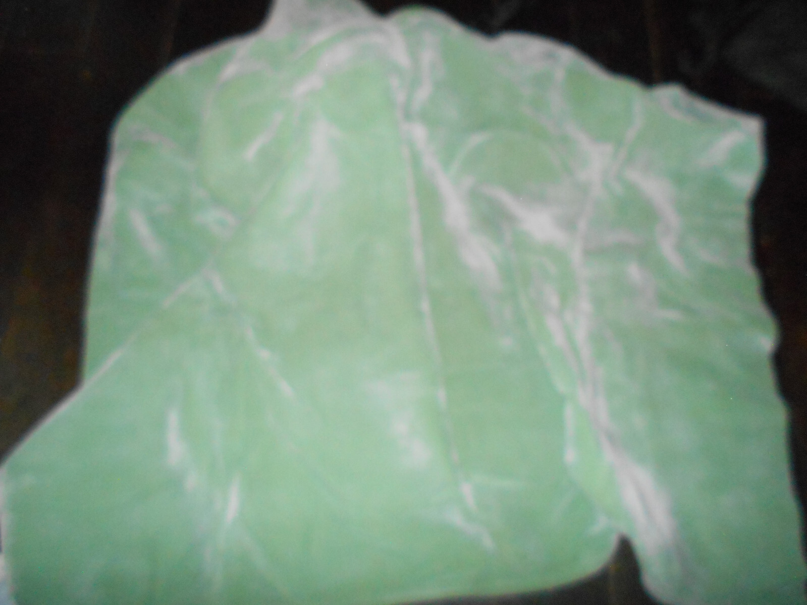 Vintage Vellux Mint Green Twin Blanket West Point Stevens Inc Made in