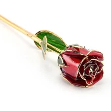 24K Gold Real Rose Dipped in 24K Gold and Lacquer Red Rose Preserved Rose 