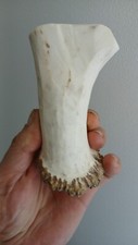 255.Knife Handle.Elk horn Blanks For Knife Handle.(NATURAL).