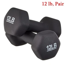 2PCS 12lb Dumbbells Pair Neoprene Dumbbell Hand Weight for Home Gym Yoga Fitness