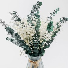 20 Pcs Dried Baby Breath Flowers Eucalyptus Bouquets - Natural Real Bouquets,...