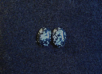 Schneeflocke Obsidian Cabochon, 18 mm x 13 mm oval, 16,20 kt, Ref BA-C1