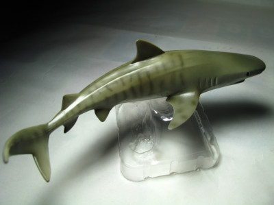 2014 NEW Collecta Animal Toy / Figure  Tiger Shark