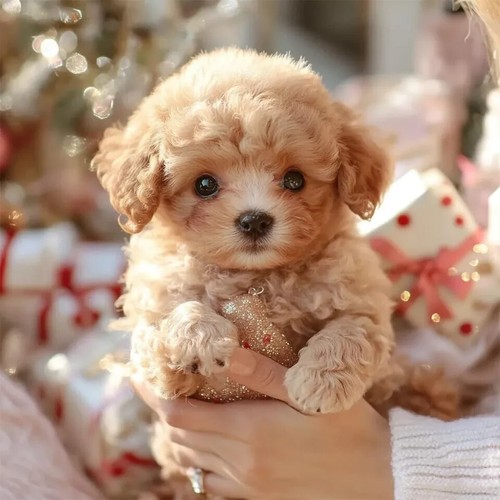 My Realistic Robot Puppy Interactive Toy