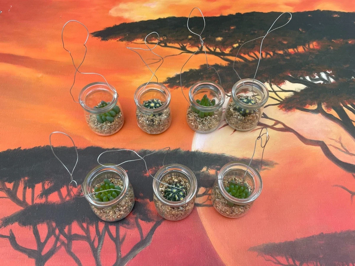 Terrarium Kunstpflanze online kaufen | eBay.de