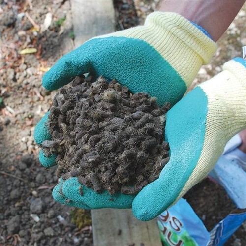 Slugs Away Slug & Snail Control Wool Pellets Biodegradable Organic 1 Litre - Picture 2 of 4