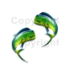 Mahi Mahi Sticker Decal Fishing RV Boat Car Truck Camper Trailer F036 2 Pack