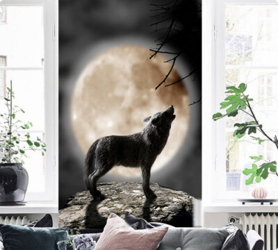 3D Moon Wolf A621 Animal Wallpaper Mural Self-adhesive Removable Zoe