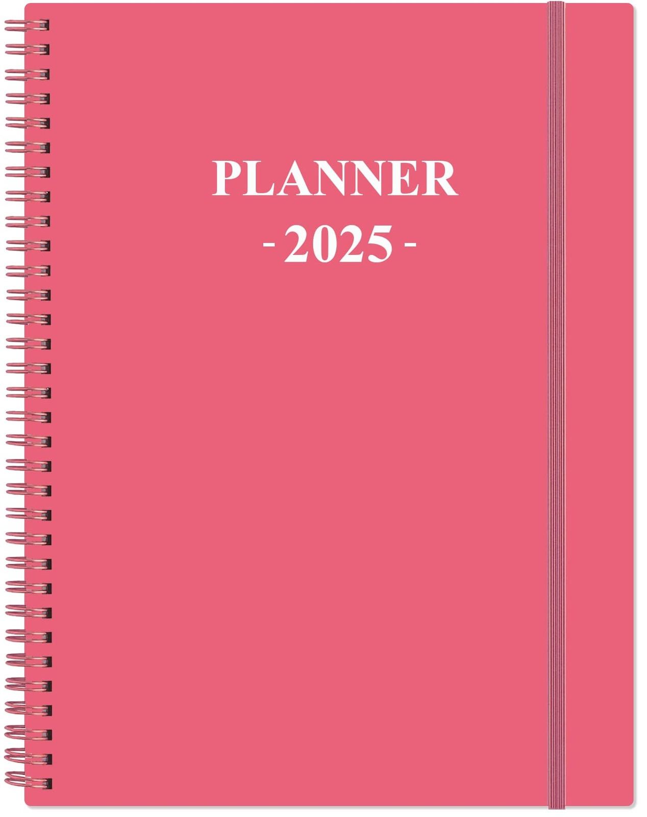 2025 Planner - 8.5