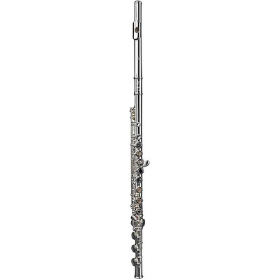Di Zhao DZ 401 Student Flute/Open Hole/Y-arms/All Silver Plated Offset G B-Foot