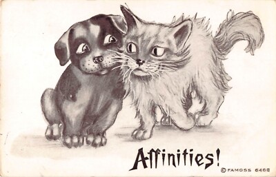 1912 Comic PC of Puppy & Kitten Flirting Titled Affinities! Dog-Gone Cat Series