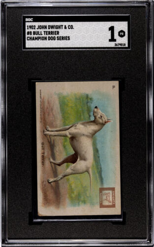 1902 John Dwight & Co. Bull Terrier #8 Champion Dog Series SGC 1 - Imagen 1 de 3