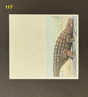 Error Double Card Brooke Bond PG Tips B48 The Dinosaur Trail Card No.15 & 16