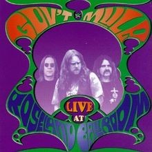Live at Roseland Ballroom von Govt Mule von not speci... | CD | Zustand sehr gut