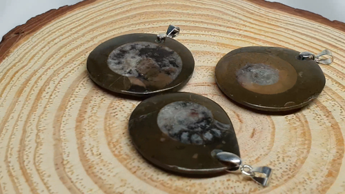 925 ECHT SILBER FASSUNG Versteinerter fossilien Ammonit Schnecke Anhänger - Video 1 of 1