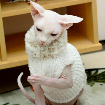 Sphynx Katzenkleidung Strickpullover – Bunt, Für Haarlose Katzen (Sphynx, Devon Rex, Cornish Rex), Größe XL (3,6–4,5 Kg)
