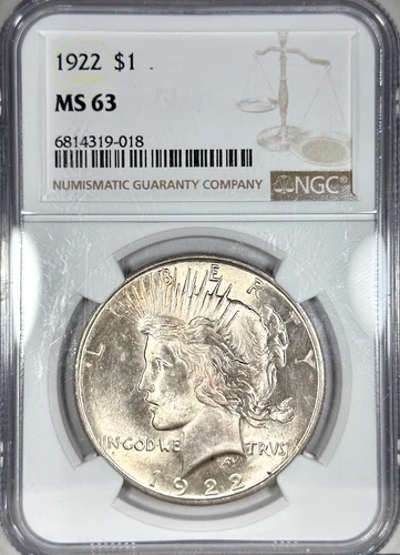 1922 PEACE DOLLAR $1 SILVER NGC MS63 NICE LUSTER AND DETAILS TONED (D286)