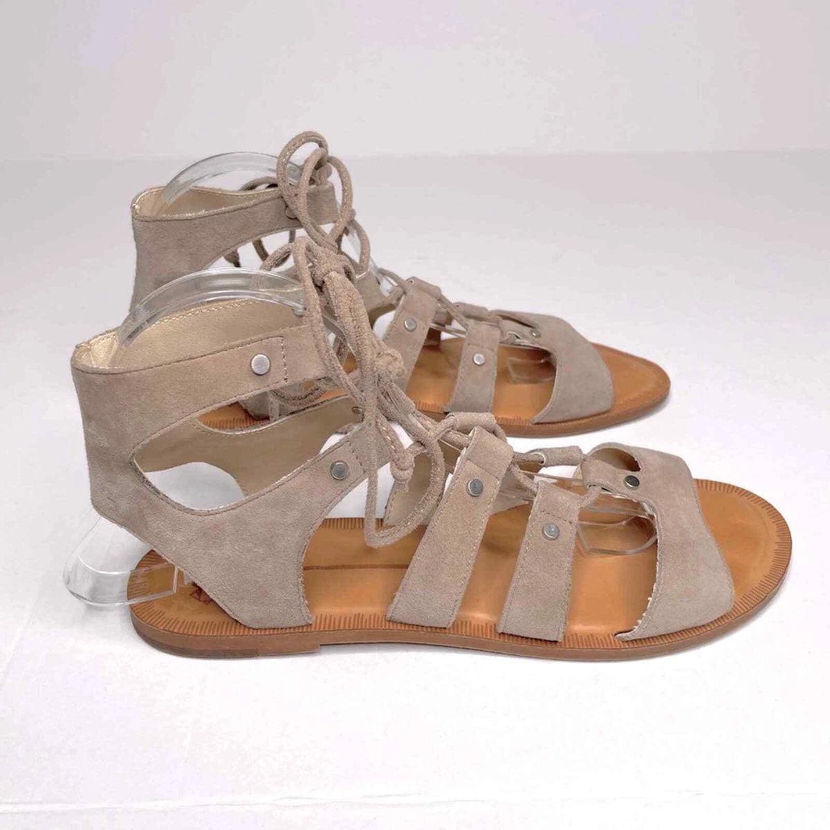 Dolce vita 2025 gladiator sandals