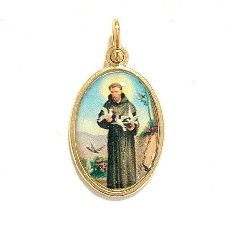 St. Francis Medal - Blessed by Pope - Catholic Religious Pendant - 第 3/4 張圖片