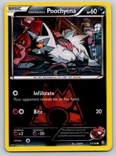 Team Magma's Poochyena Reverse Holo Common Double Crisis 17/34 LP Pokemon Card