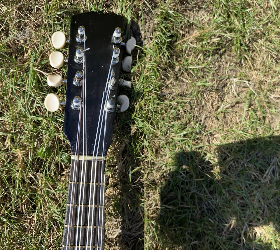 Eight String Ukulele Banjo Banjolele. - Image 3 of 4