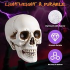 Yescom 12 Pcs Human Skulls Life Size Skeleton Head Halloween Decorations — photo 3