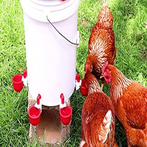 RentACoop DIY Autofill Chicken Cups for Any Watering System: Pack of 7 - Picture 6 of 6