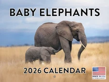 Baby Elephant Calendar 2026 Wall