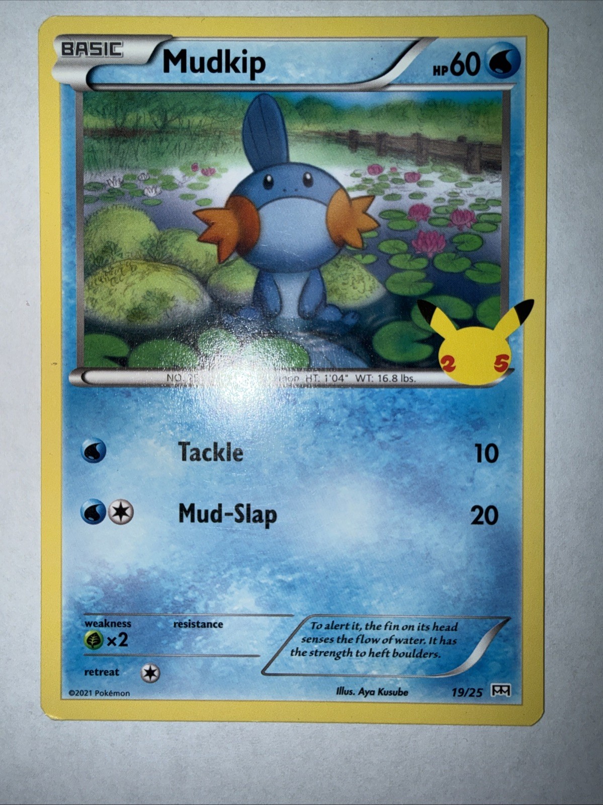 Pokemon Mudkip TCG Card 19/25 Non-Holo McDonald's Promo Set Lightly Played