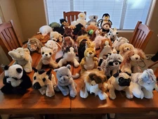 38 Webkinz Lot