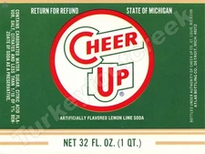 Cheer Up Lemon Lime Soda Label 9" x 12" Metal Sign