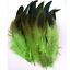 thumbnail 5  - Wholesale!100-1000pcs Beautiful Badger Saddle Pretty Rooster Feathers 5-7&#034;inch