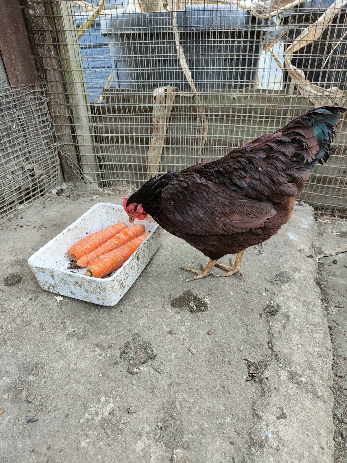 Picture 19 of 24