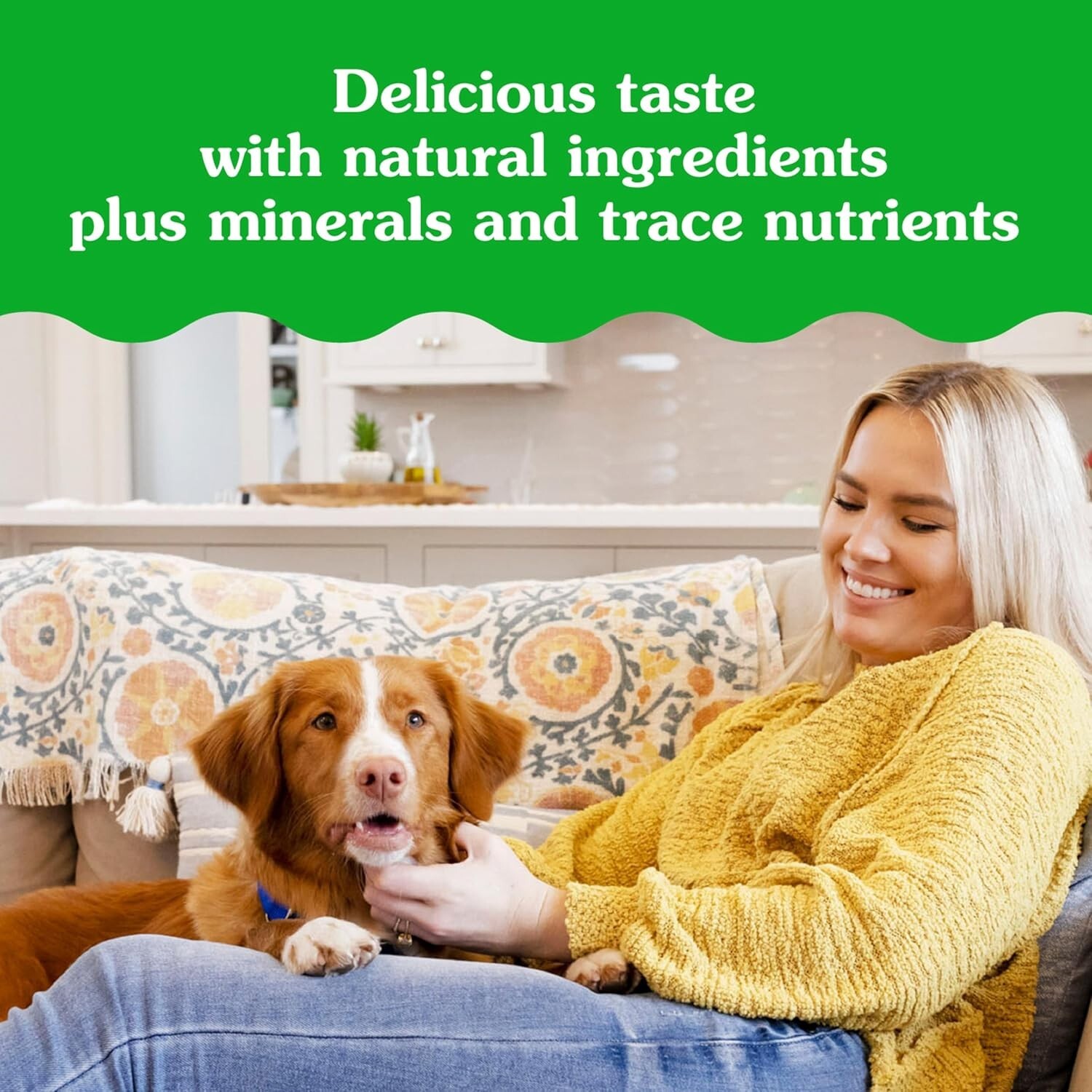 Pill Pockets For Dogs Chicken Flavor Large, Capsule Size Soft Dog Treats