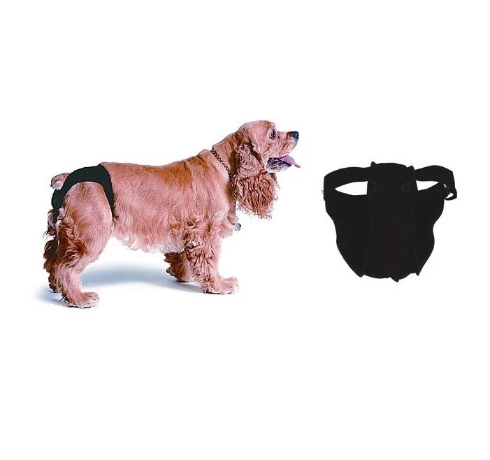Sanitary pads for dogs in heat cheap
