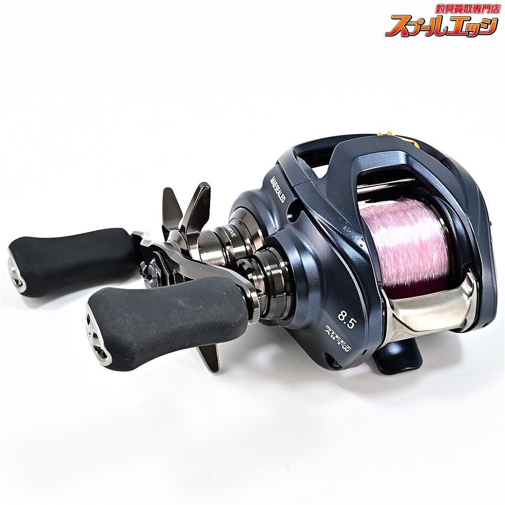 DAIWA 23 STEEZ A2 AII TW 1000XHL Bait reel #053 | eBay