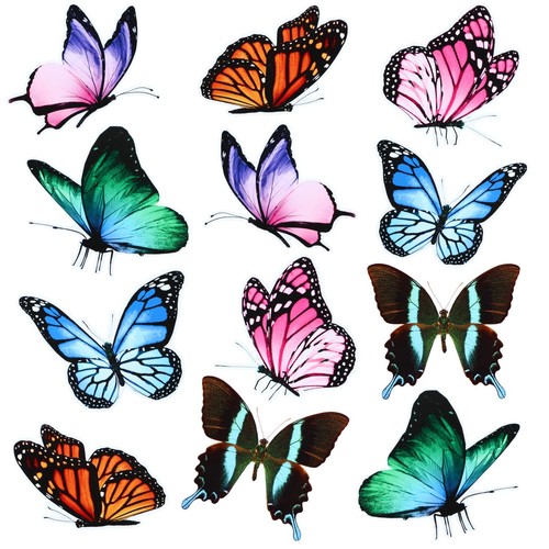 12 Pieces Butterfly Magnets Butterfly Car Magnet Fridge Magnets Art Vintage M