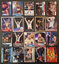 Daniel Bryan Cards and Memorabilia Guide 12