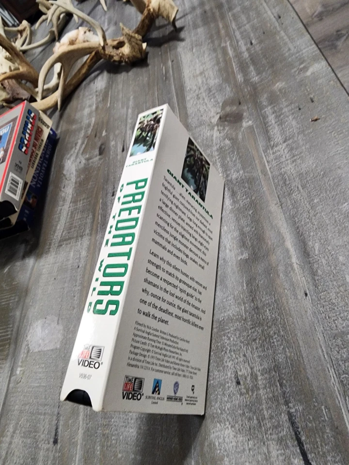 Predators of the Wild Giant Tarantula 1993 VHS Time Life Video - Image 2 of 3