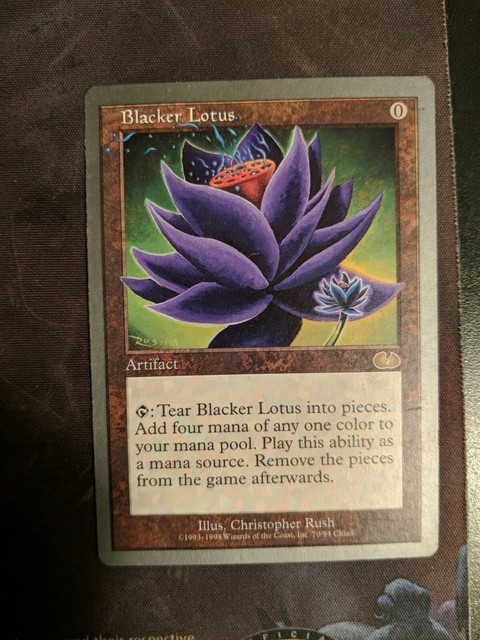 Blacker lotus ботания