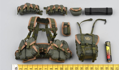 DAMTOYS 78090 1/6 SPETSNAZ MVD VV OSN Vityaz GROZNY - Chest hanging model